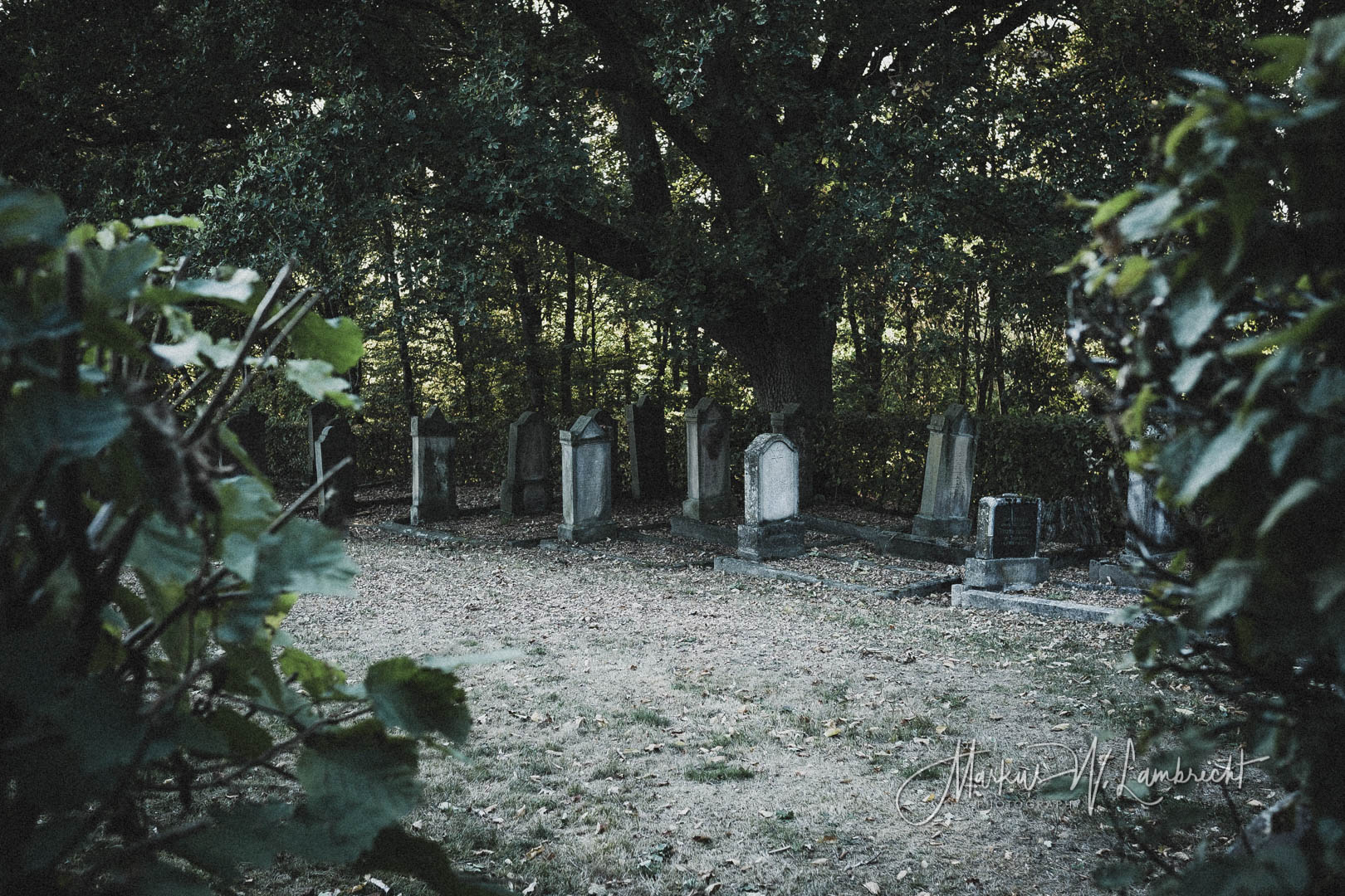 Vörden (Marienmünster), Jüdischer Friedhof